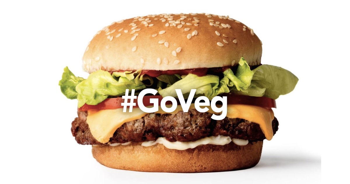 Veg Fast Food -- Vegan and vegetarian served fast.